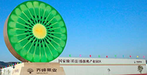 点击查看详细信息<br>标题：陕西齐峰果业有限责任公司 阅读次数：992